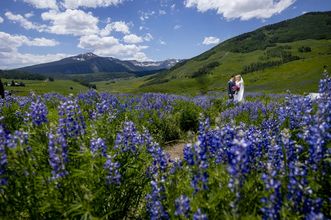 Elopement in crested butte in the wildflowers