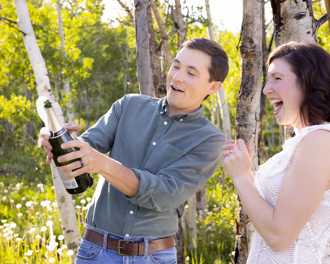 outdoor wedding proposal ideas