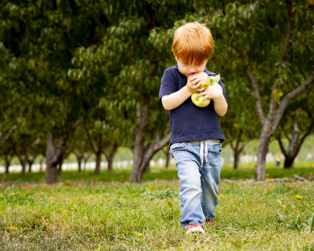 Apple picking in Paonia CO at the Black Bridge Winery