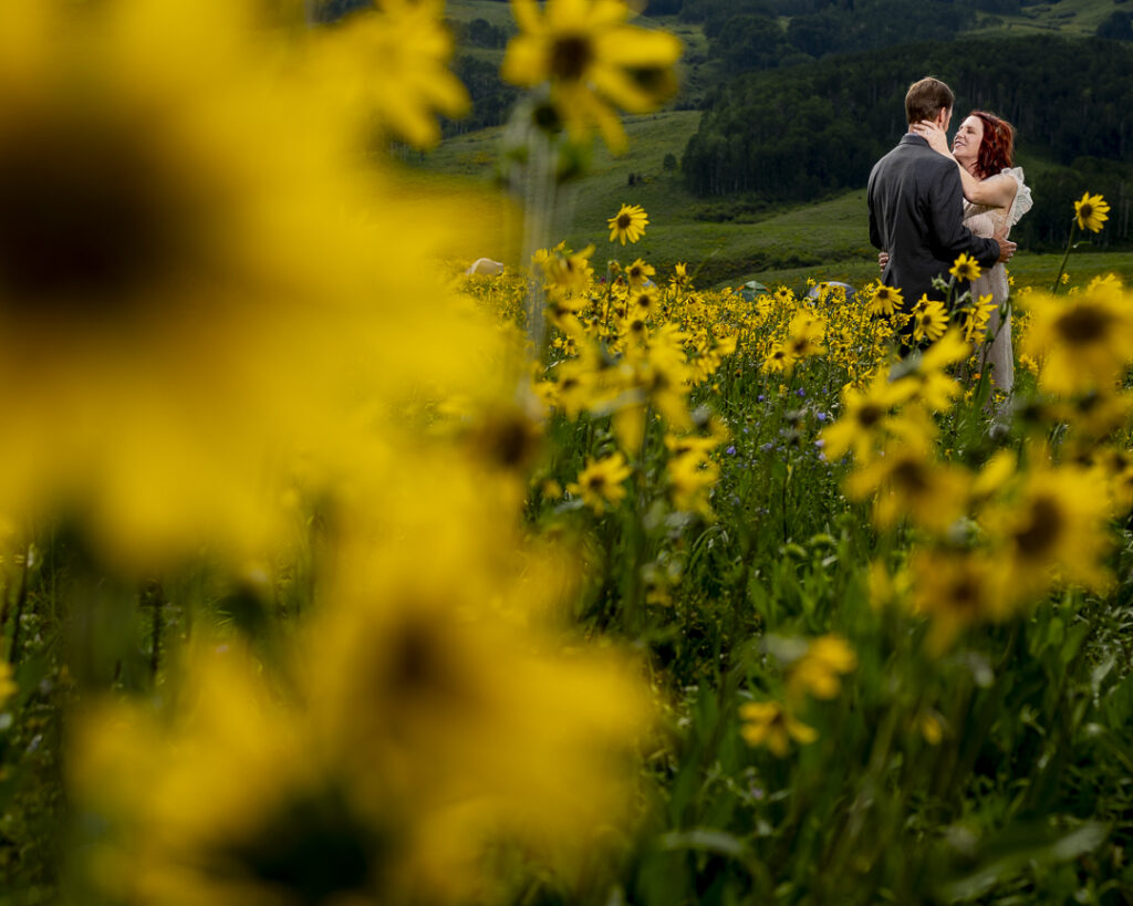 sunflower fields for engagement photos in crested butte Colorado by third eye photography