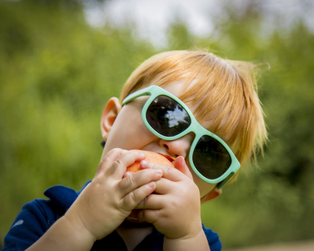Peach picking in Paonia CO