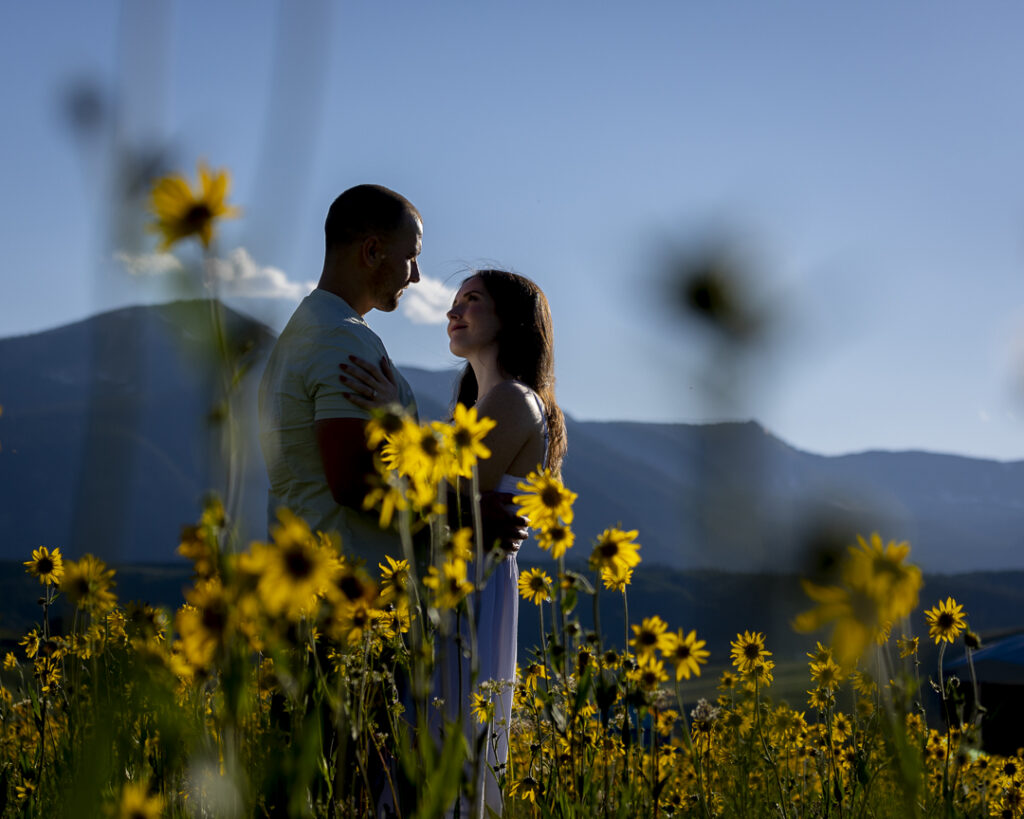 sunflower fields for engagement photos in crested butte Colorado by third eye photography